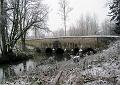 The bridge at Rousham